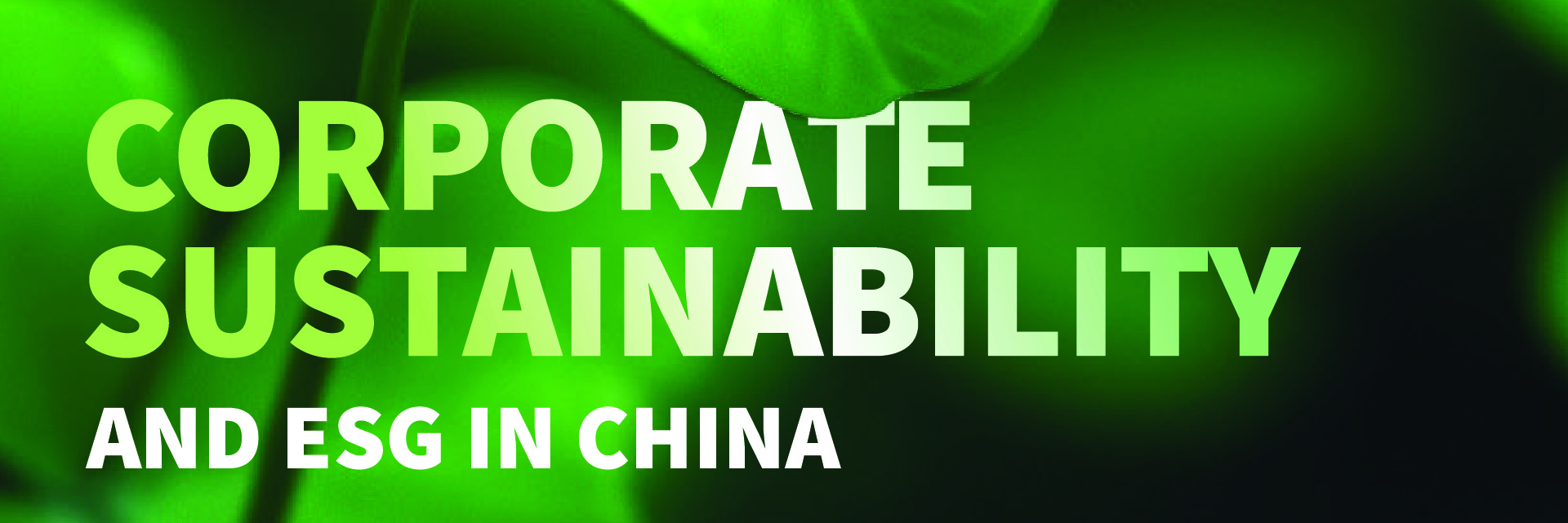 crafting a winning esg narrative