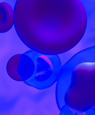 Brands in Motion 2024 Health Report: Reputation Rules